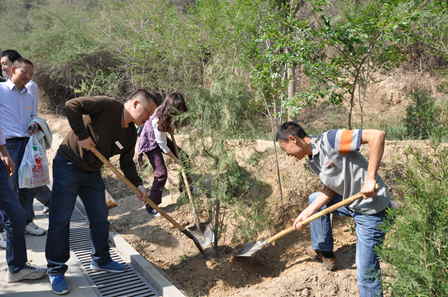 Tree planting adds a touch of green to Lanzhou