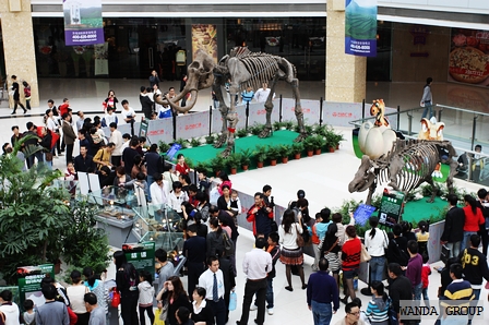 古生物化石展在宁波万达广场开幕