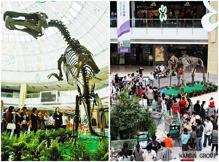 古生物化石展在宁波万达广场开幕