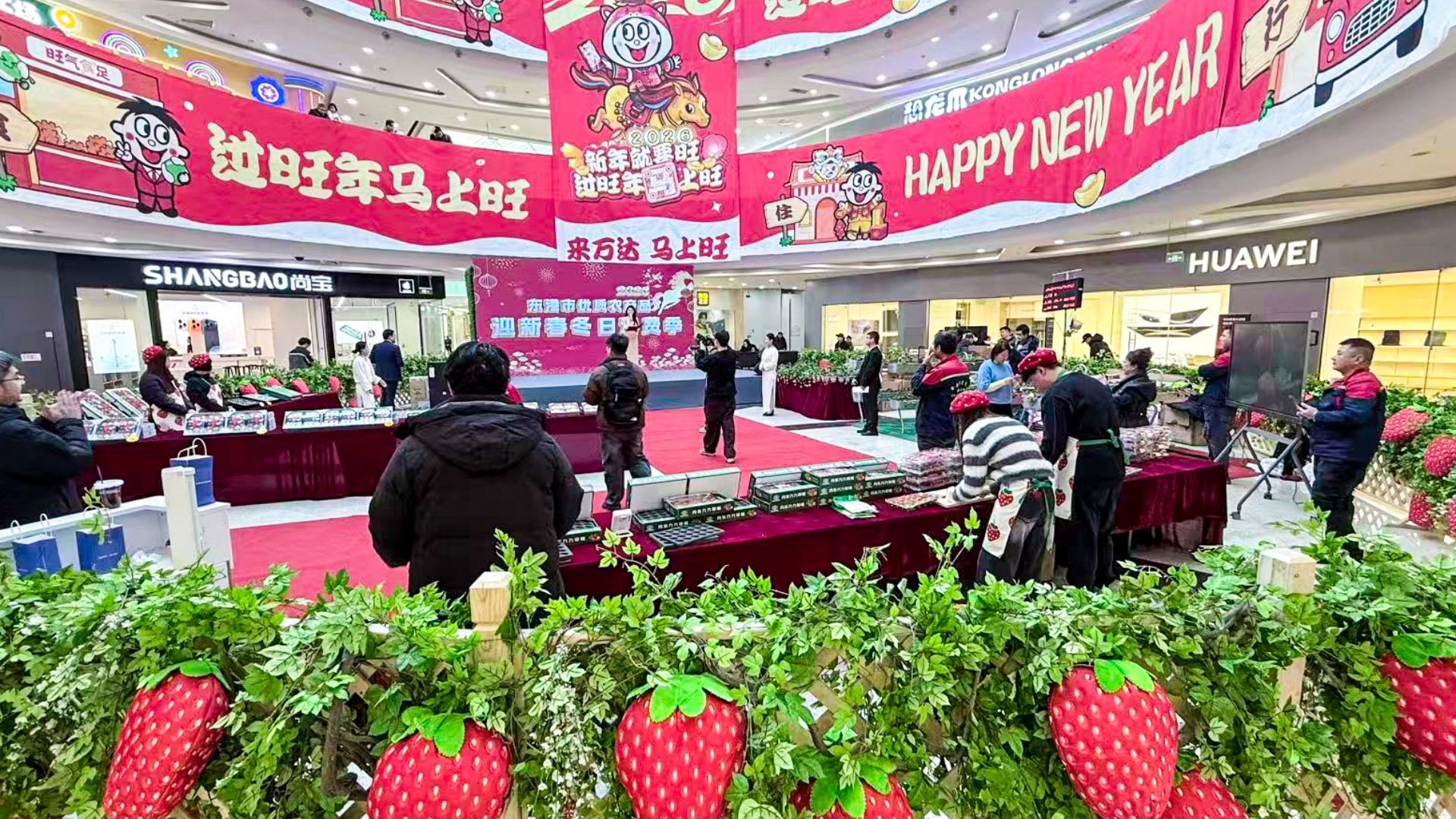 沈阳铁西万达广场开启优质农产品新春消费季