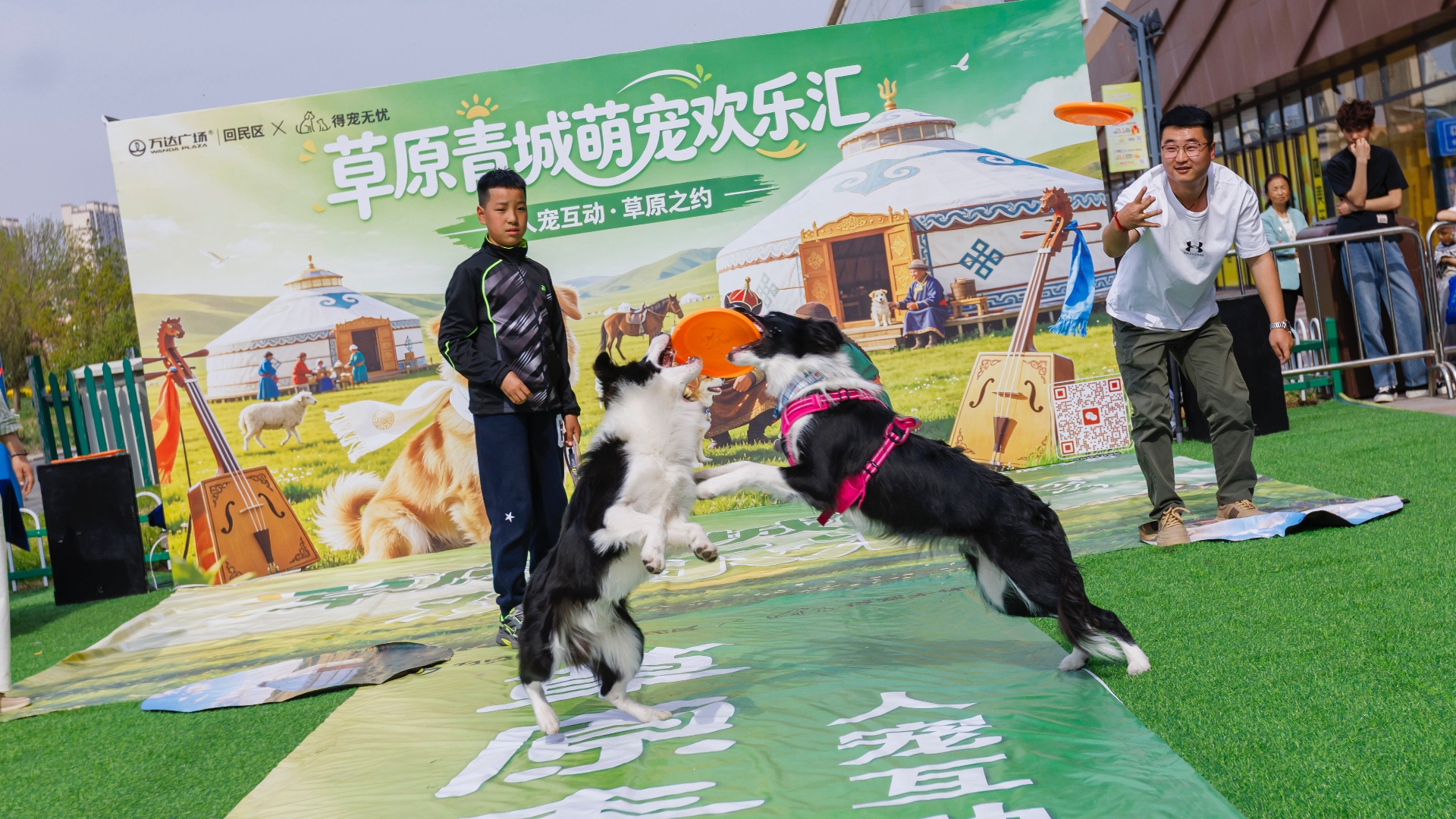 呼市回民区万达广场举办“萌宠那达慕”活动