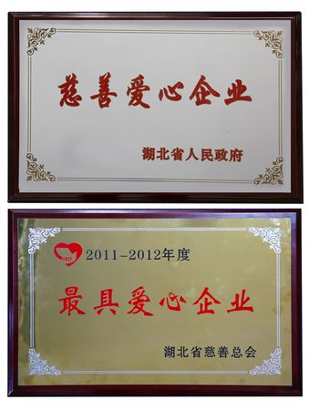 武汉万达荣获湖北省最具爱心企业奖