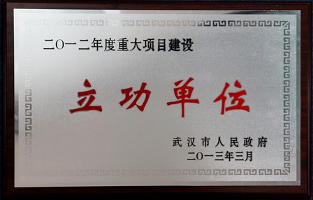 武汉项目公司获评年度市重大项目建设和前期推进（策划）先进单位