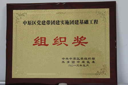 万达郑州中原商管公司党支部、团委和部分员工荣获党建团建先进奖 