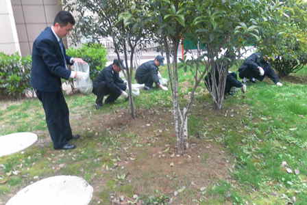 宜昌万达商管公司组织员工参加义务除草活动 